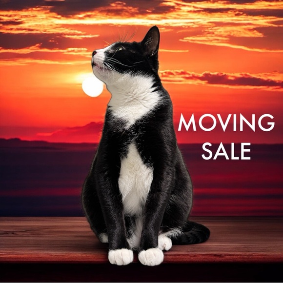 CLEARING OUT for UPCOMING MOVE! 😸😸😸 - Picture 1 of 1
